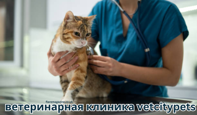 Ветеринарная клиника VetCityPets